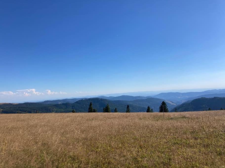 Feldberg Apartment - Direkt An Der Skipiste - Mit Sauna Экстерьер фото