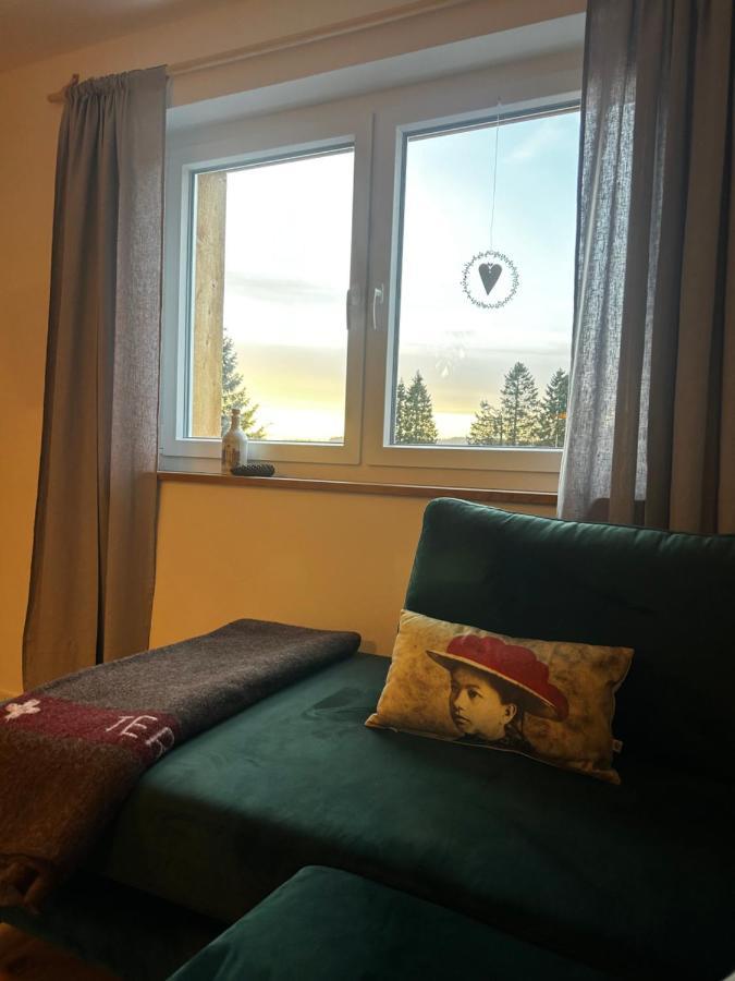 Feldberg Apartment - Direkt An Der Skipiste - Mit Sauna Экстерьер фото