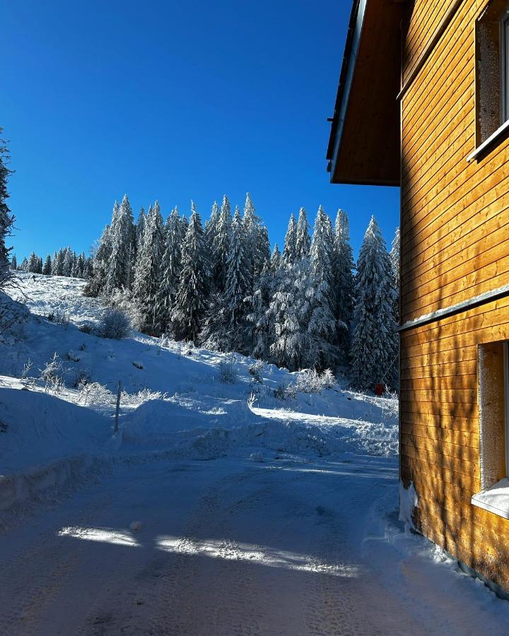 Feldberg Apartment - Direkt An Der Skipiste - Mit Sauna Экстерьер фото