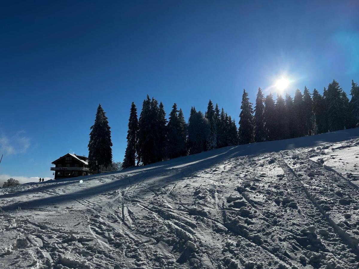 Feldberg Apartment - Direkt An Der Skipiste - Mit Sauna Экстерьер фото