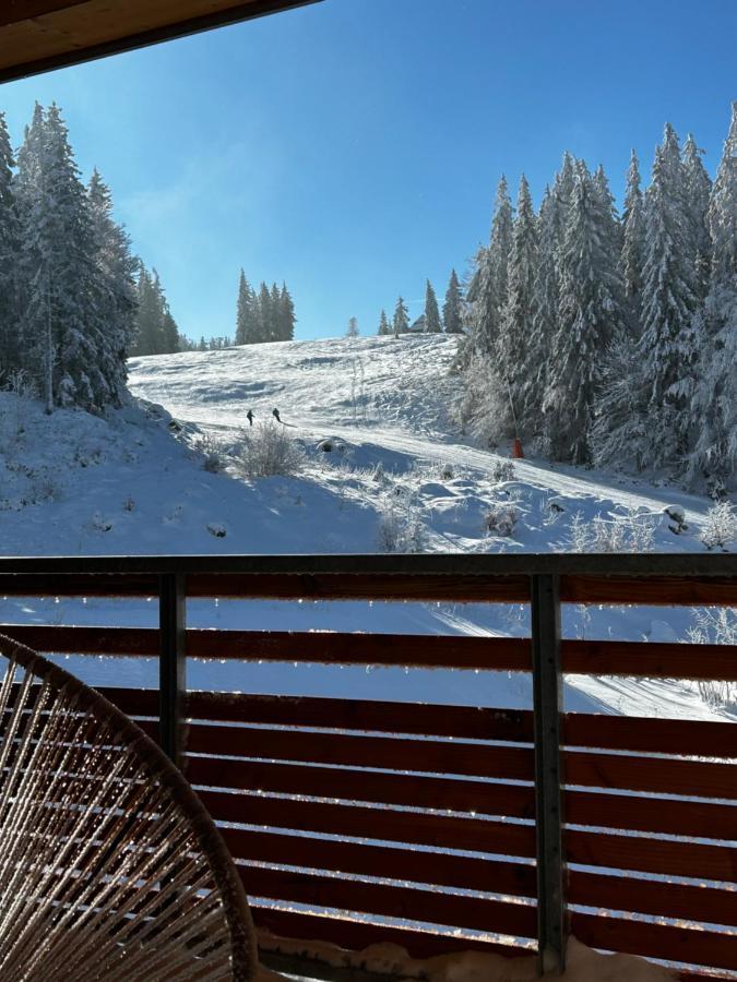 Feldberg Apartment - Direkt An Der Skipiste - Mit Sauna Экстерьер фото